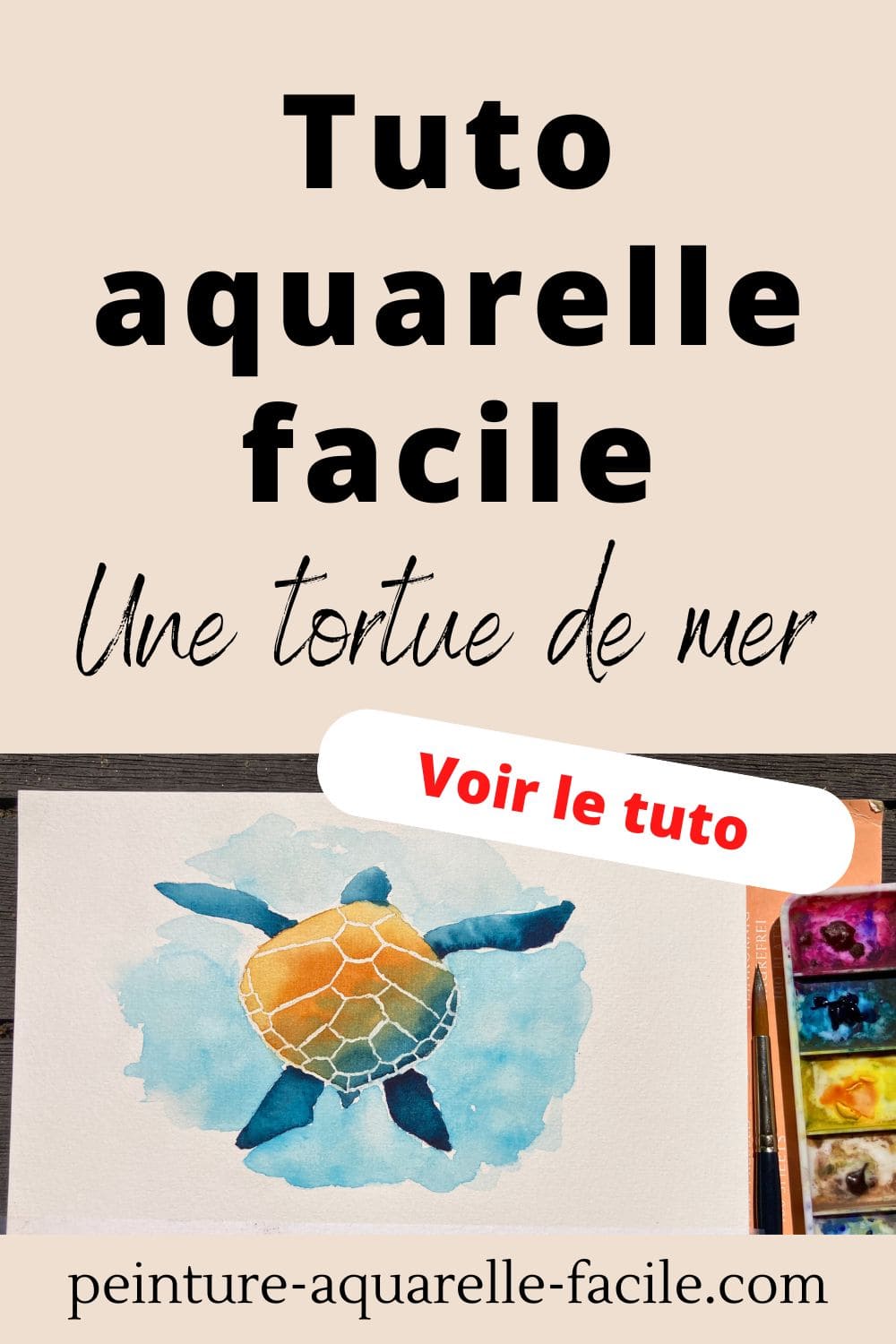 Kit Peinture Par Numéros Tortue - Toile 30x30 Cm, Peintures Acryliques, Pinceaux - Loisir Créatif Adulte, Anti-stress, Décoration